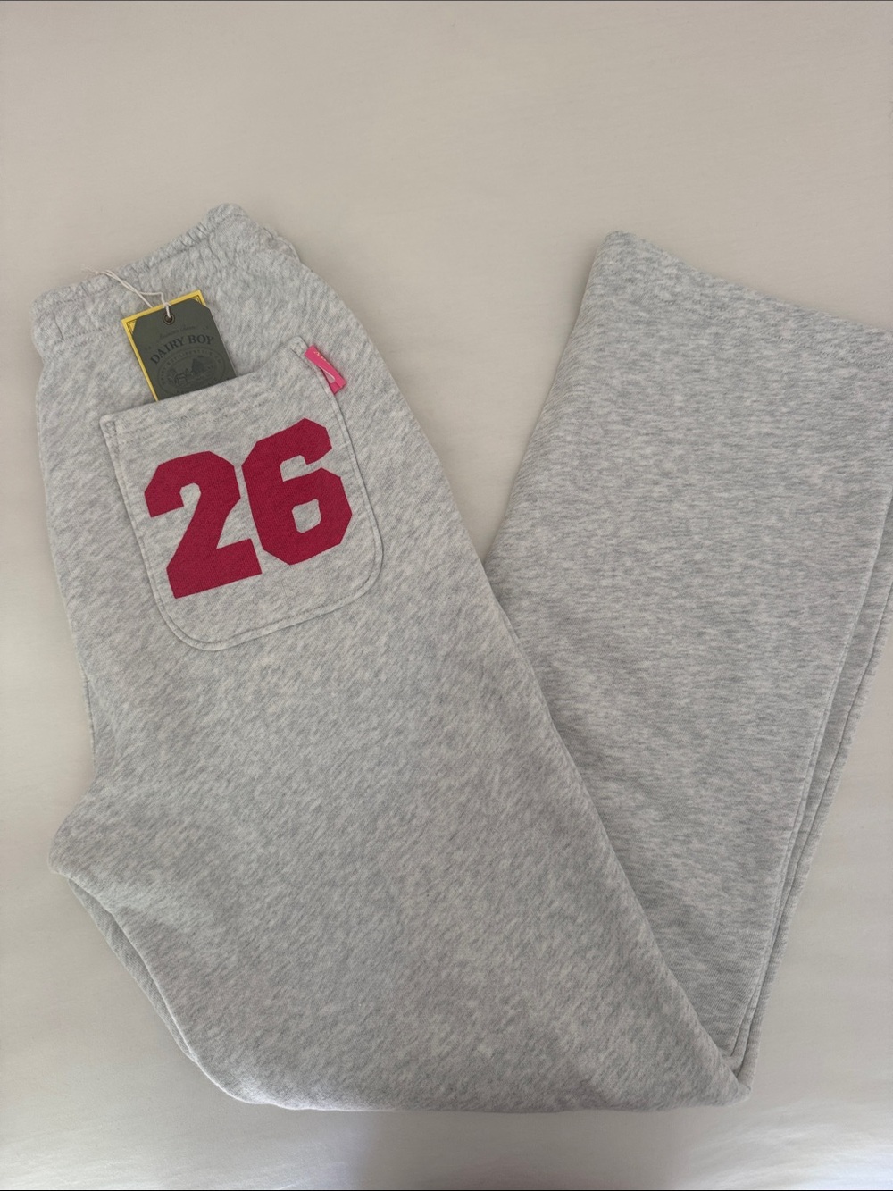 DAIRY BOY Heather Gray Sweatpants with Pink Drawstring
